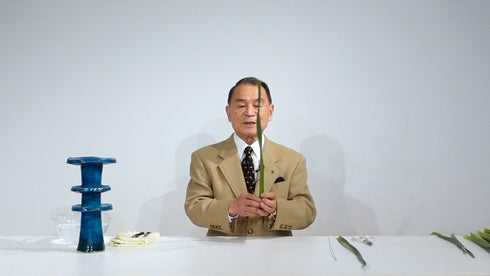 Special 5-6 Japanese Narcissus (Narcissus tazzetta var.chinensis) by Mr.Ken Katayama