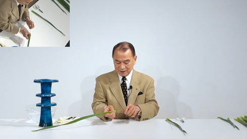 Special 5-6 Japanese Narcissus (Narcissus tazzetta var.chinensis) by Mr.Ken Katayama