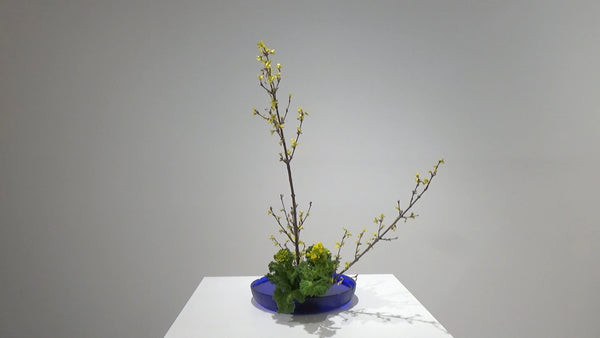 2-1 第三応用立真型・盛花 2 五十野雅峰