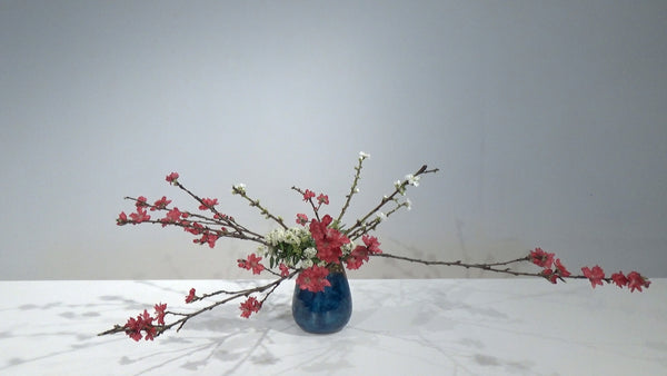 Special 5-1 季節を彩る 石川己青