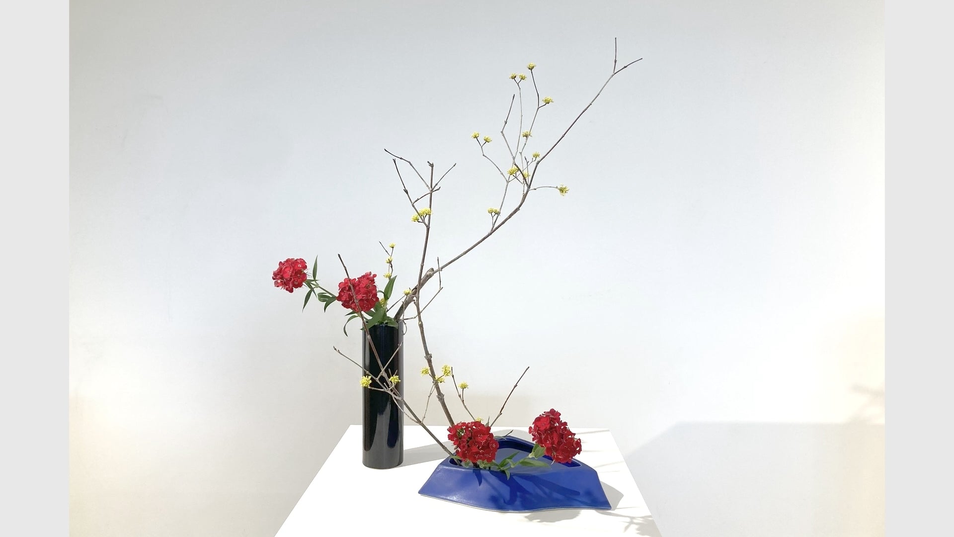 月花さま専用 花型図用定規 | いけばな草月流