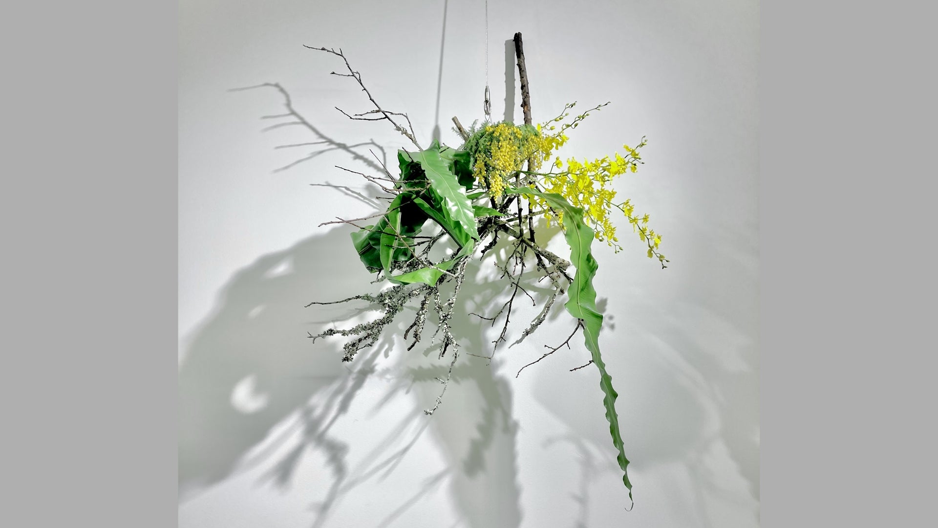 Special 4-17 植物を使った壁作品2 片山健 – anytime SOGETSU